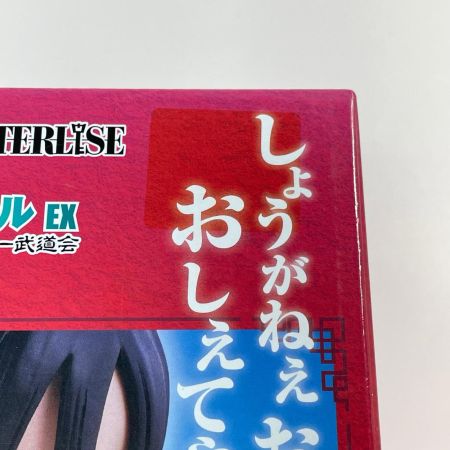 一番くじ ドラゴンボール EX 激闘!!天下一武道会 B賞 チチ MASTERLISE BANDAI