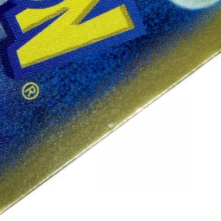   ポケモン ポケカ イーブイ ex 223/187 SAR