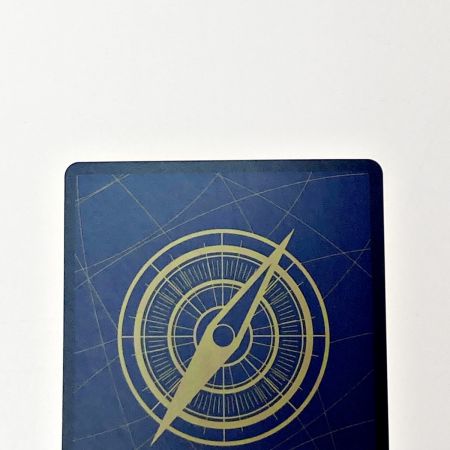   ワンピース トレカ マーシャル・D・ティーチ WANTED OP09-093 SP パラレル