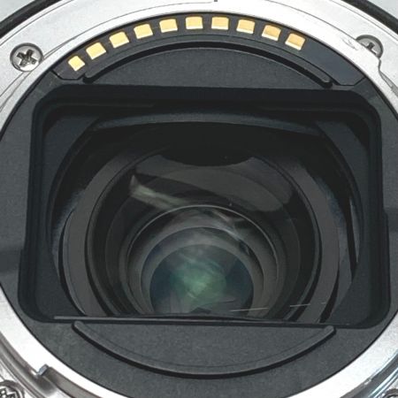  SONY ソニー FE 28-60mm F4-5.6 SEL2860 ズームレンズ