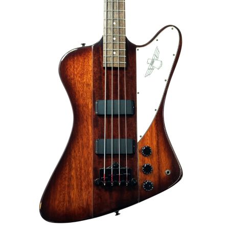  EPIPHONE エピフォン Thunderbird IV Bolt-On ソフトケース付き