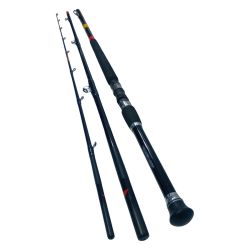 DAIWA ダイワ 船竿 DAIWA 05282024 剣崎アキアジSP310V 05282024 Cランク