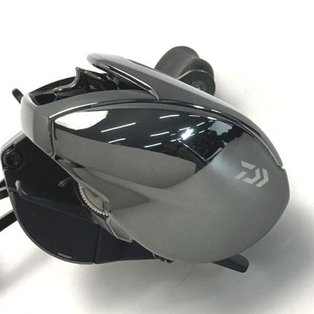  DAIWA ダイワ 24 スティーズ SV TW 100XH 00630314 ベイトリール 箱付き