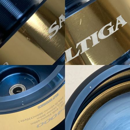  DAIWA ダイワ SLP WORKS 20 ソルティガ 14000 替えスプール スピニングリール