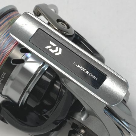  DAIWA ダイワ 18 カルディア LT4000S-C 00056043 スピニングリール 箱付き