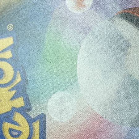   ポケモン ポケカ ソニア 077/070 SR