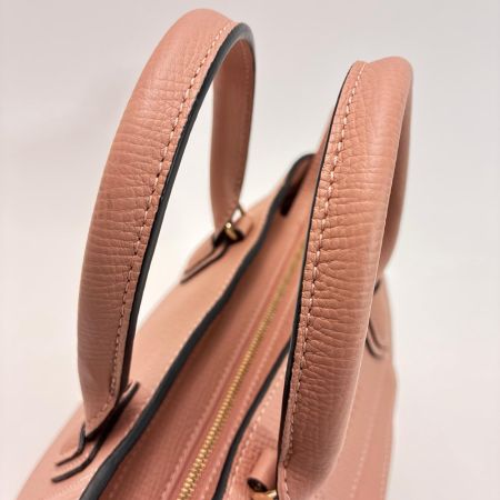 Longchamp ロンシャン 2WAYバッグ メールボックス 10103HTA633 ブラッシュ スラップ 保存袋付