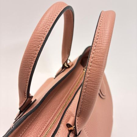 Longchamp ロンシャン 2WAYバッグ メールボックス 10103HTA633 ブラッシュ スラップ 保存袋付