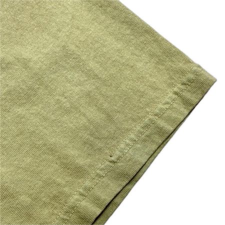  stussy ステューシー Tシャツ ディノプリント SIZE XL メンズ ベージュ系