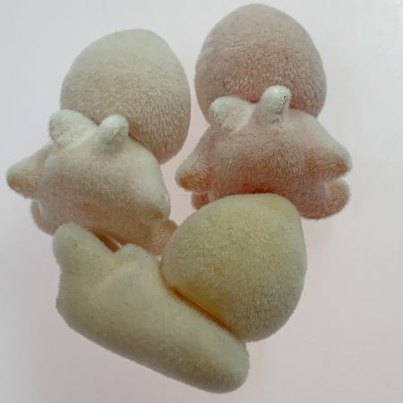   シルバニアファミリー 森の妖精さん いちご・おはな・きのこの妖精 3体セット おはなし付 子供用品 知育玩具