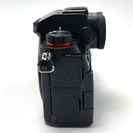  Panasonic パナソニック LUMIX ルミックス S5 ボディ DC-S5-K/BK ミラーレス一眼カメラ 取説・充電器付き