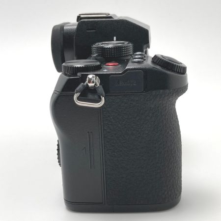  Panasonic パナソニック LUMIX ルミックス S5 ボディ DC-S5-K/BK ミラーレス一眼カメラ 取説・充電器付き