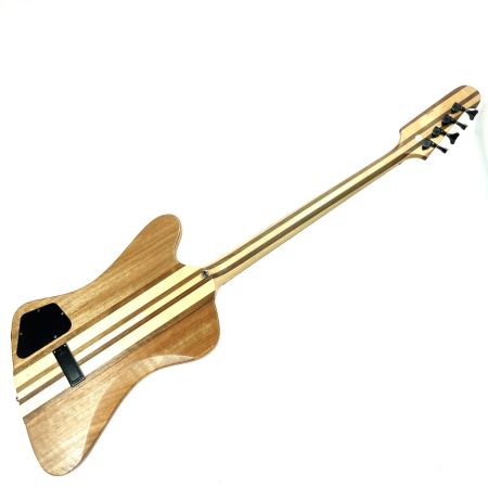  EPIPHONE エピフォン ThunderBird PRO 本体のみ