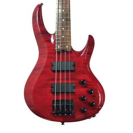  BanG Dream! エレキベース BTL LISA ソフトケース付