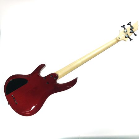  BanG Dream! エレキベース BTL LISA ソフトケース付