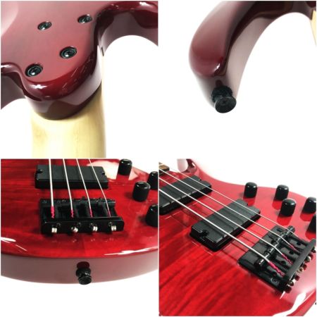  BanG Dream! エレキベース BTL LISA ソフトケース付