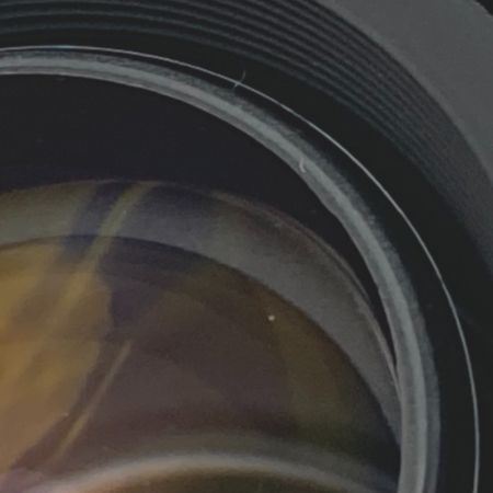  Nikon ニコン AF-S DX Zoom Nikkor ED 18-70mm F3.5-4.5G ズームレンズ