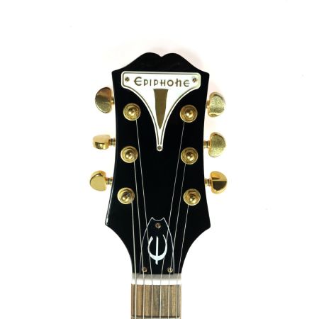  EPIPHONE エピフォン wildkat ソフトケース付き