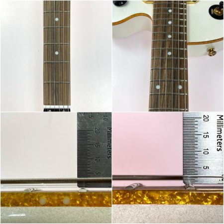  EPIPHONE エピフォン wildkat ソフトケース付き