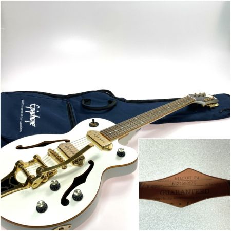  EPIPHONE エピフォン wildkat ソフトケース付き