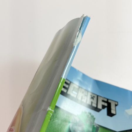  LEGO レゴ マインクラフト 最初の冒険 21169/イリジャーの襲撃 21160 セット ブロック マイクラ 箱有