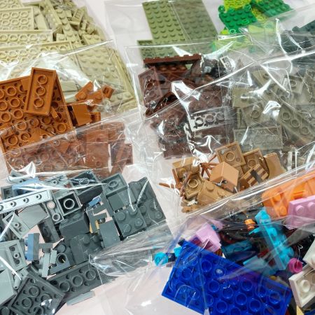  LEGO レゴ マインクラフト 最初の冒険 21169/イリジャーの襲撃 21160 セット ブロック マイクラ 箱有
