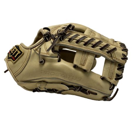  ZETT ゼット PROSTATUS プロステイタス 硬式グローブ