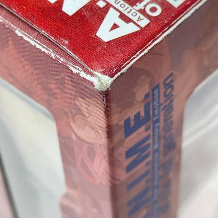  BANDAI バンダイ ROBOT魂 〈SIDE MS〉 MS-06S シャア専用ザク ver. A.N.I.M.E.  フィギュア 開封品