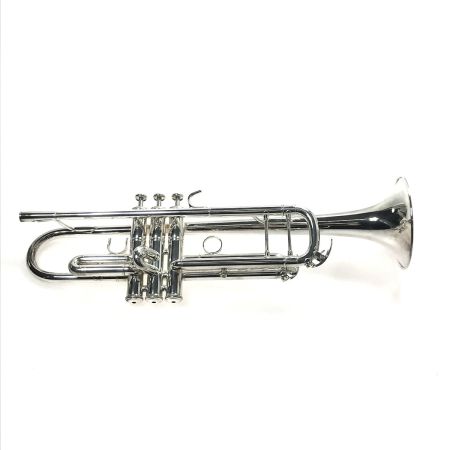  YAMAHA ヤマハ トランペット YTR8335G ハードケース付き