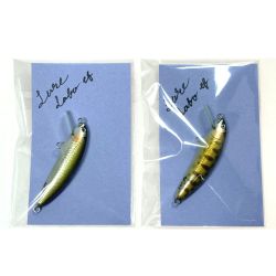 ☆☆ Lure Labo ミノー 2個セット ef50S / ef50F ルアー Aランク