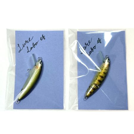  Lure Labo ミノー 2個セット ef50S / ef50F ルアー