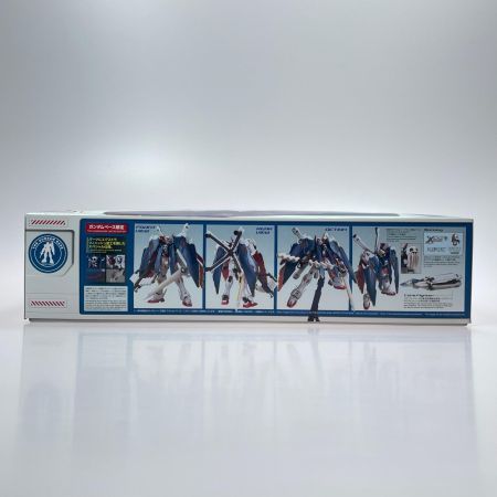 BANDAI MG 1/100 ガンダムベース限定 クロスボーンガンダムX-1 フルクロス エクストラフィニッシュ