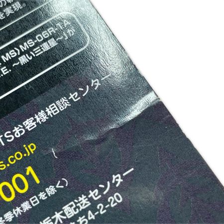  BANDAI バンダイ ROBOT魂 〈SIDE MS〉 MS-06R-1A 高機動型ザクII ver. A.N.I.M.E.～黒い三連星～ フィギュア 開封品