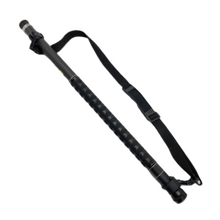  DAIWA ダイワ ランディングポール II 磯玉網 45-50 06575305 釣り用品 タモの柄