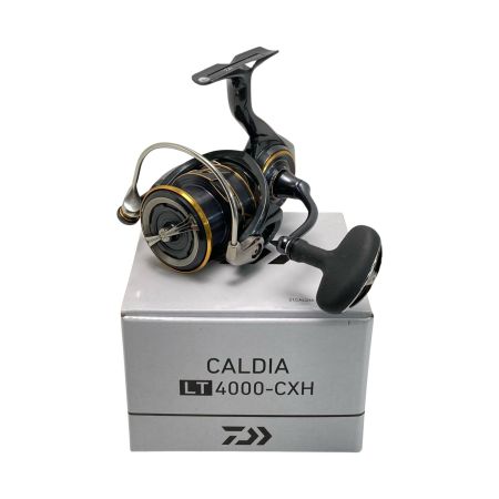  DAIWA ダイワ DAIWA ダイワ 21 カルディア LT4000-CXH 063220 スピニングリール 箱付き