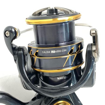  DAIWA ダイワ DAIWA ダイワ 21 カルディア LT4000-CXH 063220 スピニングリール 箱付き