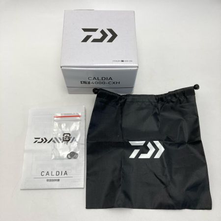  DAIWA ダイワ DAIWA ダイワ 21 カルディア LT4000-CXH 063220 スピニングリール 箱付き