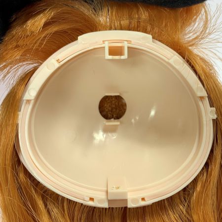   Blythe ブライス  レジュネット ラディエンス＋ 頭髪パーツのみ