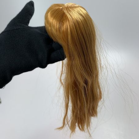   Blythe ブライス  レジュネット ラディエンス＋ 頭髪パーツのみ