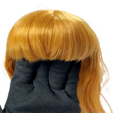   Blythe ブライス  レジュネット ラディエンス＋ 頭髪パーツのみ