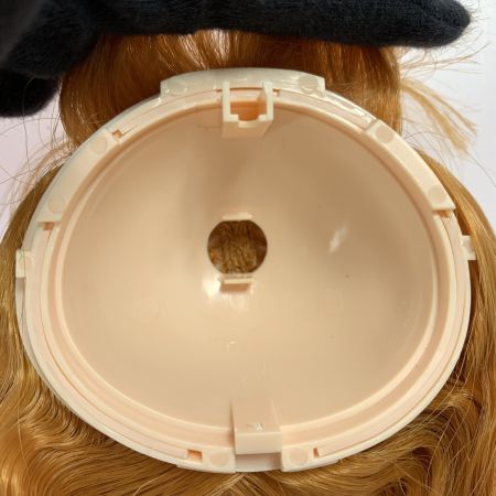   Blythe ブライス  レジュネット ラディエンス＋ 頭髪パーツのみ