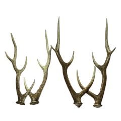   エゾ鹿の角 蝦夷鹿  4本 2対 セット 全長約64cm/62.5cm/52.5cm/49cm ハンドメイド 素材 Bランク