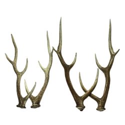 ☆☆  エゾ鹿の角 蝦夷鹿  4本 2対 セット 全長約64cm/62.5cm/52.5cm/49cm ハンドメイド 素材 Bランク
