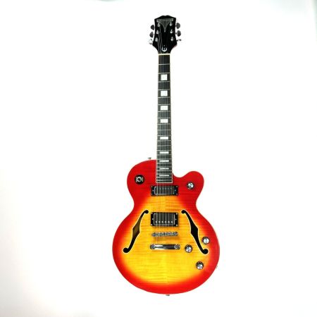  EPIPHONE エピフォン ALLEYKAT ハードケース付き