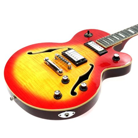  EPIPHONE エピフォン ALLEYKAT ハードケース付き