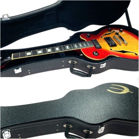  EPIPHONE エピフォン ALLEYKAT ハードケース付き