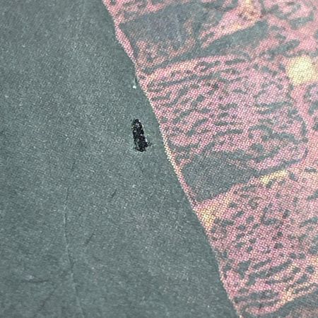  CAPCOM カプコンフィギュアビルダー クリエイターズモデル 轟竜 ティガレックス 復刻版 フィギュア 開封品