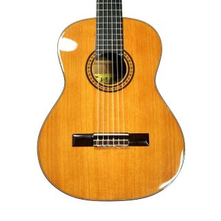 中古】ギターの中古品・新品・未使用品 検索結果 - なんでもリサイクル 