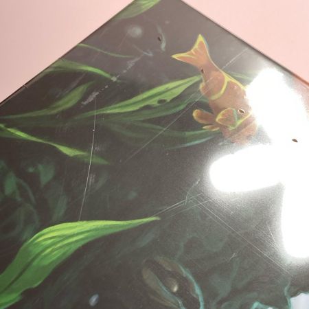  アークライト エバーデール 拡張 真珠の入り江 完全日本語版 ボードゲーム Everdell