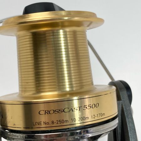  DAIWA ダイワ スピニングリール 10 クロスキャスト 5500 059329